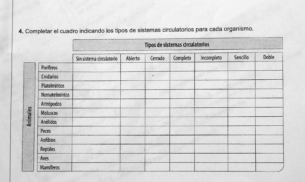 Solved Ayudaa Completar El Cuadro Indicando Los Tipos De Sistemas Circulatorios 1339