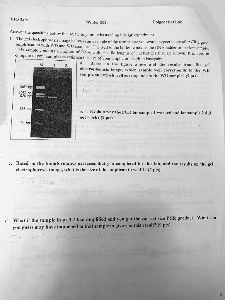 SOLVED: BIO 3401 Winter 2020 Epigenetics Lab Answer The Questions Below ...