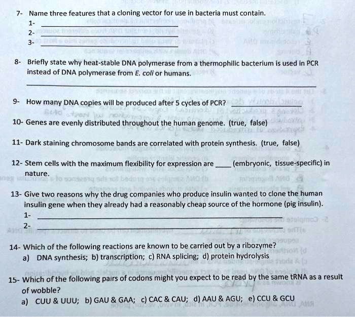 7- Name three features that a cloning vector for use in bacteria must contain.
1-
2-
3-
8- Briefly state why heat-stable DNA polymerase from a thermophilic bacterium is used in PCR instead of DNA polymerase from E. coli or humans.
9- How many DNA copies will be produced after 5 cycles of PCR?
10- Genes are evenly distributed throughout the human genome. (true, false)
11- Dark staining chromosome bands are correlated with protein synthesis. (true, false)
12- Stem cells with the maximum flexibility for expression are  (embryonic, tissue-specific) in nature.
13- Give two reasons why the drug companies who produce insulin wanted to clone the human insulin gene when they already had a reasonably cheap source of the hormone (pig insulin).
1-
2-
14- Which of the following reactions are known to be carried out by a ribozyme?
a) DNA synthesis; b) transcription; c) RNA splicing; d) protein hydrolysis
15- Which of the following pairs of codons might you expect to be read by the same tRNA as a result of wobble?
a) CUU     UUU; b) GAU     GAA; c) CAC     CAU; d) AAU     AGU; e) CCU     GCU
