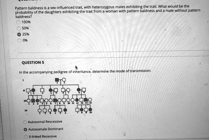 Solved Pattern Baldness Is A Sex Influenced Trait With Heterozygous