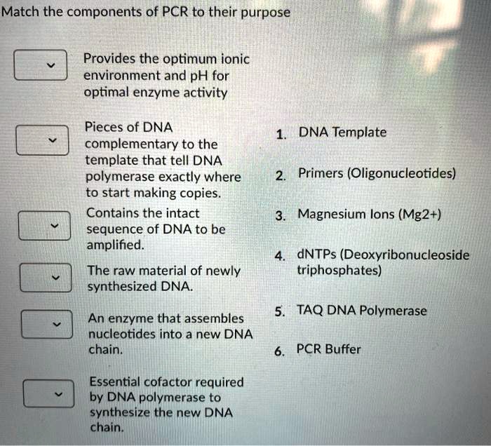Match the components of PCR to their purpose
Provides the optimum ionic environment and pH for optimal enzyme activity
Pieces of DNA complementary to the template that tell DNA polymerase exactly where to start making copies.
Contains the intact sequence of DNA to be amplified.
The raw material of newly synthesized DNA.
An enzyme that assembles nucleotides into a new DNA chain.
Essential cofactor required by DNA polymerase to synthesize the new DNA chain.
1. DNA Template
2. Primers (Oligonucleotides)
3. Magnesium Ions (Mg2+)
4. dNTPs (Deoxyribonucleoside triphosphates)
5. TAQ DNA Polymerase
6. PCR Buffer