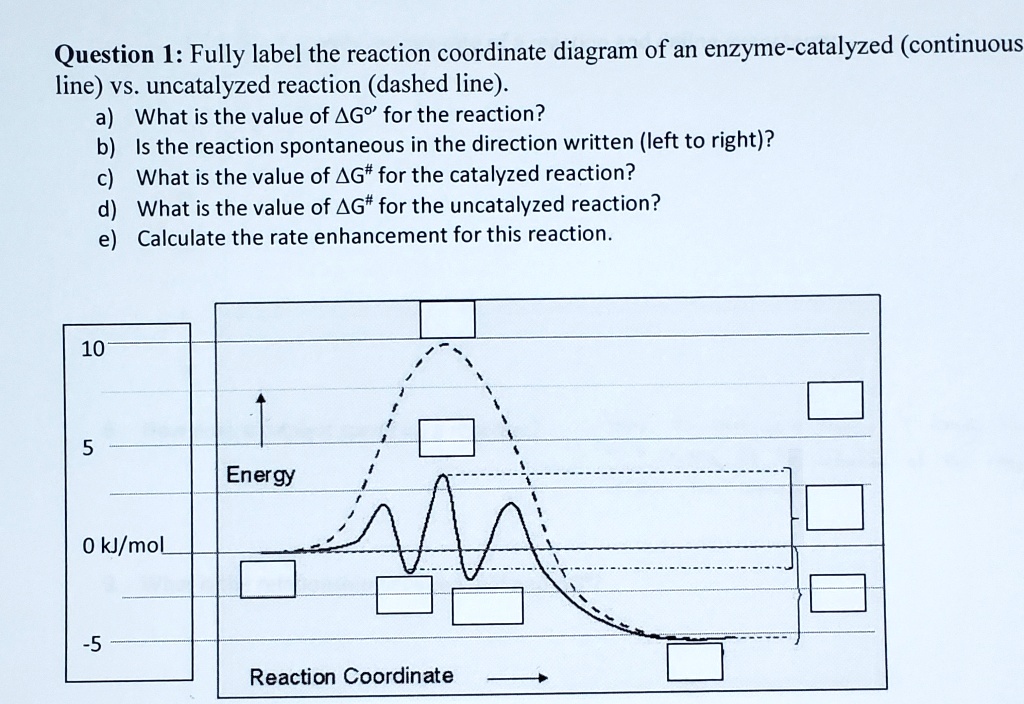 Video Solution: Question 1: Fully Label The Reaction Coordinate Diagram 