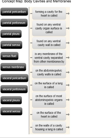 SOLVED: Using no more than 10 propositions, locate and name the major ...