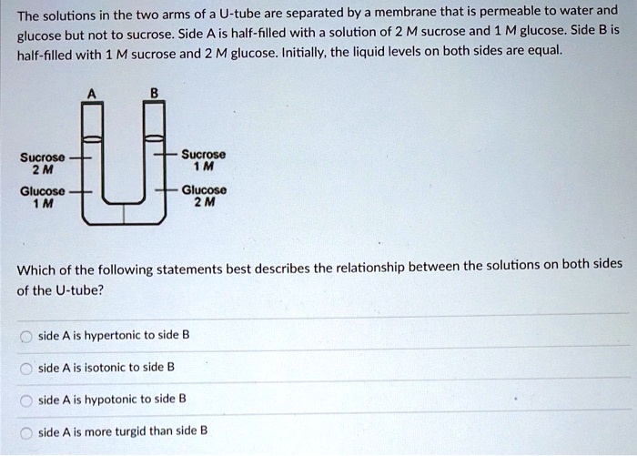 The solutions in the two arms of a Utube are separated by a membrane