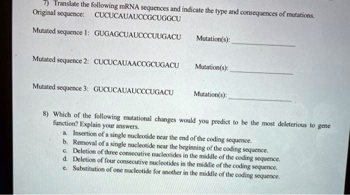 7) Translate the following mRNA sequences and indicate the type and consequences of mutations.
Original sequence: CUCUCAUAUCCGCUGGCU
Mutated sequence 1: GUGAGCUAUCCCUUGACU Mutation(s):
Mutated sequence 2: CUCUCAUAACCGCUGACU Mutation(s):
Mutated sequence 3: GUCUCAUAUCCCUGACU Mutation(s):
8) Which of the following mutational changes would you predict to be the most deleterious to gene function? Explain your answers.
a. Insertion of a single nucleotide near the end of the coding sequence.
b. Removal of a single nucleotide near the beginning of the coding sequence.
c. Deletion of three consecutive nucleotides in the middle of the coding sequence.
d. Deletion of four consecutive nucleotides in the middle of the coding sequence.
e. Substitution of one nucleotide for another in the middle of the coding sequence.