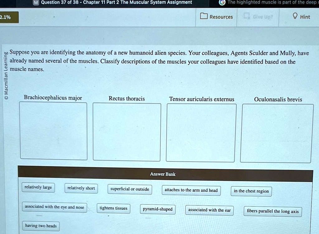 Question 37 of 38 - Chapter 11 Part 2 The Muscular System Assignment ...