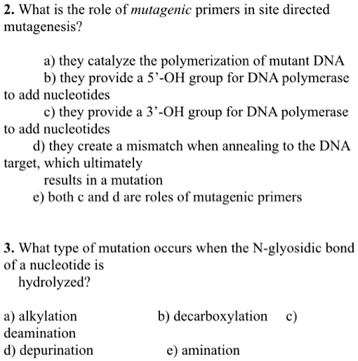 SOLVEDWhat is the role of mutagenie primers in site directed