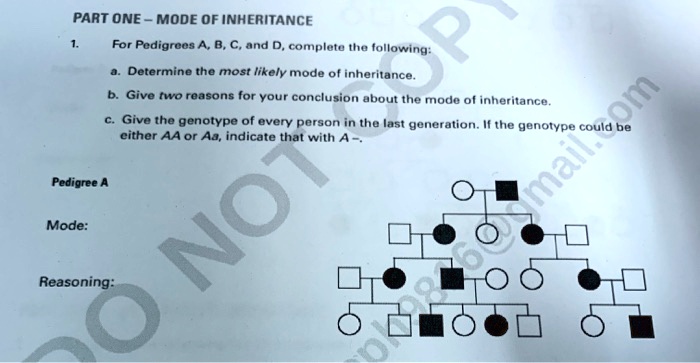 SOLVED: PART ONE MODE OF INHERITANCE For Pedigrees A , B, € and D ...