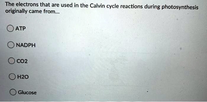 The electrons that are used in the Calvin cycle reactions during photosynthesis originally came from...
ATP
NADPH
CO2
H2O
Glucose