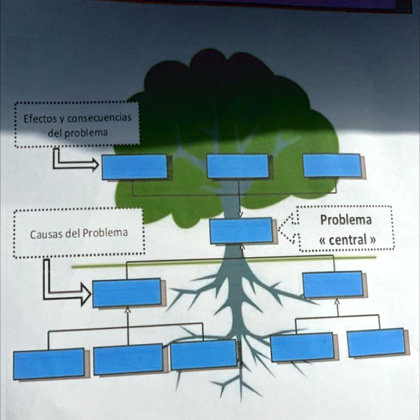 SOLVED: Efectos y consecuencias del problema Problema Causas del ...