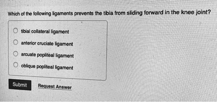 Which of the following ligaments prevents the tibia from sliding forward in the knee joint?
tibial collateral ligament
anterior cruciate ligament
arcuate popliteal ligament
oblique popliteal ligament