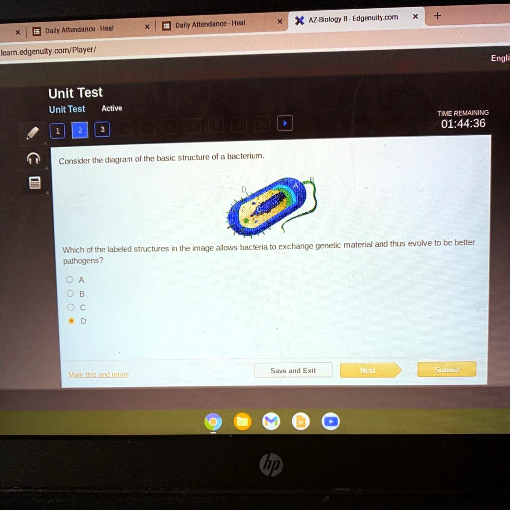 SOLVED: 'HELP, Can Someone Fact Check This?!! AZ Biology B- Edgenuity ...