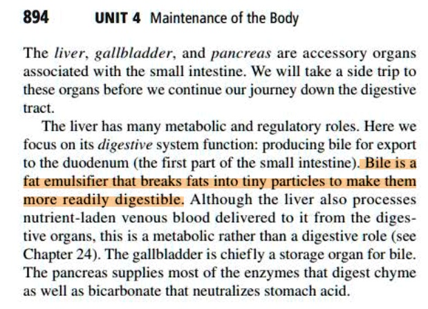 The liver, gallbladder, and pancreas are accessory organs associated with the small intestine. We will take a side trip to these organs before we continue our journey down the digestive tract. The liver has many metabolic and regulatory roles. Here we focus on its digestive system function: producing bile for export to the duodenum (the first part of the small intestine). Bile is a fat emulsifier that breaks fats into tiny particles to make them more readily digestible. Although the liver also processes nutrient-laden venous blood delivered to it from the digestive organs, this is a metabolic rather than a digestive role (see Chapter 24). The gallbladder is chiefly a storage organ for bile. The pancreas supplies most of the enzymes that digest chyme as well as bicarbonate that neutralizes stomach acid.