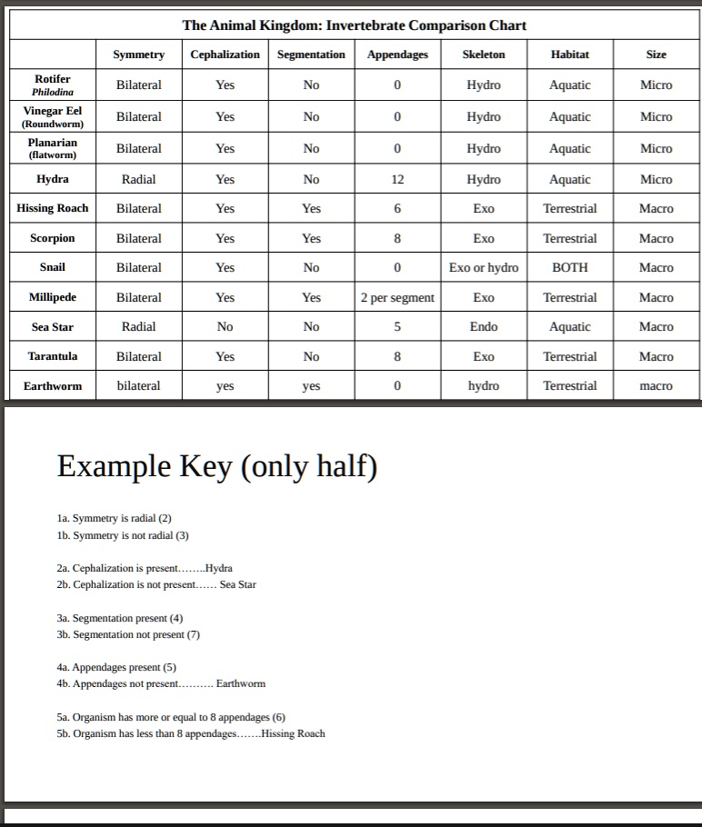 SOLVED The Animal Kingdom Invertebrate Comparison Chart Symmetry Cephalization Segmentation