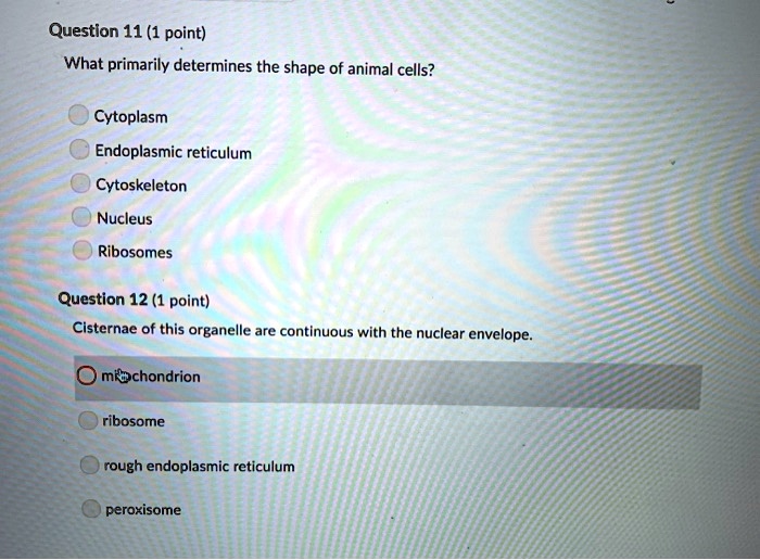 SOLVED Question 11 (1 point) What primarily determines the shape = of