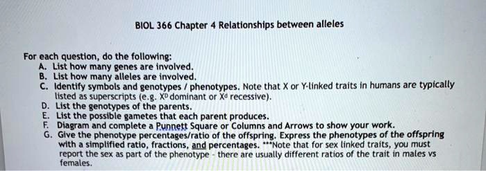 BIOL 366 Chapter 4 Relationships between alleles

For each question, do the following:
A. List how many genes are involved.
B. List how many alleles are involved.
C. Identify symbols and genotypes / phenotypes. Note that X or Y-linked traits in humans are typically listed as superscripts (e.g. XD dominant or Xd recessive).
D. List the genotypes of the parents.
E. List the possible gametes that each parent produces.
F. Diagram and complete a Punnett Square or Columns and Arrows to show your work.
G. Give the phenotype percentages/ratio of the offspring. Express the phenotypes of the offspring with a simplified ratio, fractions, and percentages. ***Note that for sex linked traits, you must report the sex as part of the phenotype - there are usually different ratios of the trait in males vs females.