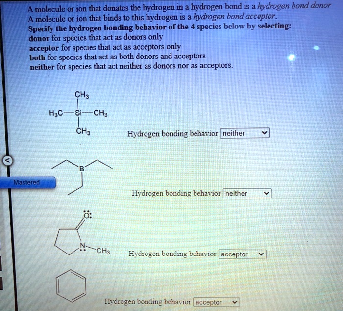 SOLVED:Amolecule or ion that donates the hydrogen in bydrogen bond is ...
