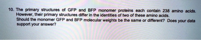 10. The primary structures of GFP and BFP monomer proteins each contain 238 amino acids.
However, their primary structures differ in the identities of two of these amino acids.
Should the monomer GFP and BFP molecular weights be the same or different? Does your data
support your answer?