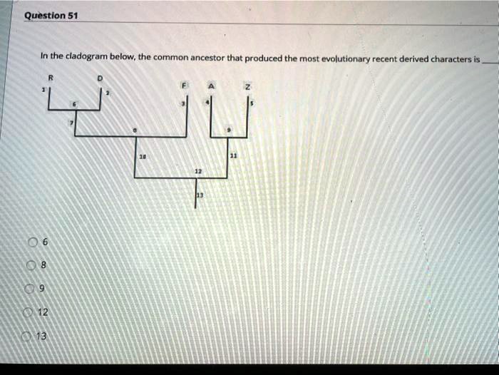 In the cladogram below, the common ancestor that produced the most evolutionary recent derived characters is
R D F A Z
1 2 3 4 5
6
7 8 9
10 11
12
13
6
8
9
12
13