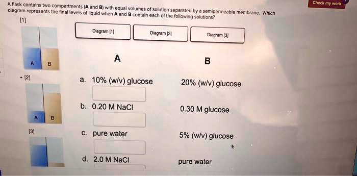 SOLVED: A Flask Contains Two Compartments (A And B) With Equal Volumes ...