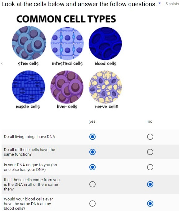 SOLVED 'Just need someone to check this ASAP please! Is it right? Look