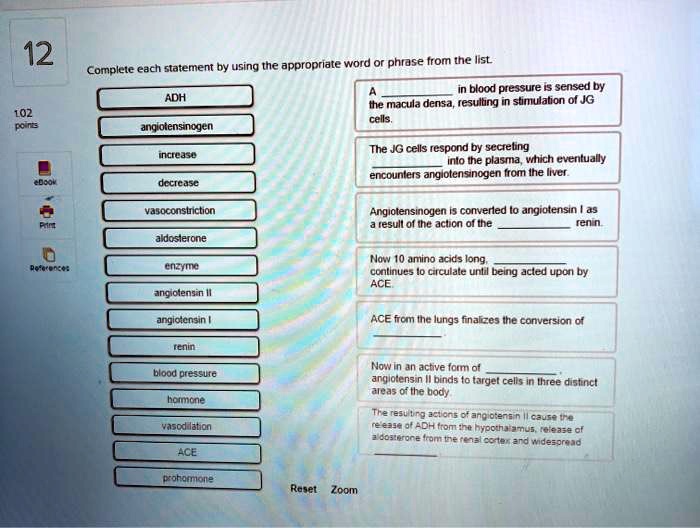 Complete each statement by using the appropriate word or phrase from the list.
ADH
angiotensinogen
increase
decrease
vasoconstriction
aldosterone
enzyme
angiotensin II
angiotensin I
renin
blood pressure
hormone
vasodilation
ACE
prohormone
A  in blood pressure is sensed by the macula densa, resulting in stimulation of JG cells.
The JG cells respond by secreting  into the plasma, which eventually encounters angiotensinogen from the liver.
Angiotensinogen is converted to angiotensin I as a result of the action of the  renin.
Now 10 amino acids long,  continues to circulate until being acted upon by ACE.
ACE from the lungs finalizes the conversion of .
Now in an active form of , angiotensin II binds to target cells in three distinct areas of the body.
The resulting actions of angiotensin II cause the release of ADH from the hypothalamus, release of aldosterone from the renal cortex and widespread .