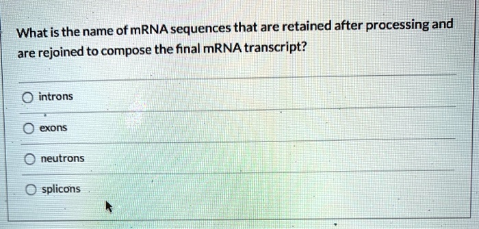 SOLVED: Whatis the name of mRNA sequences that are retained after ...