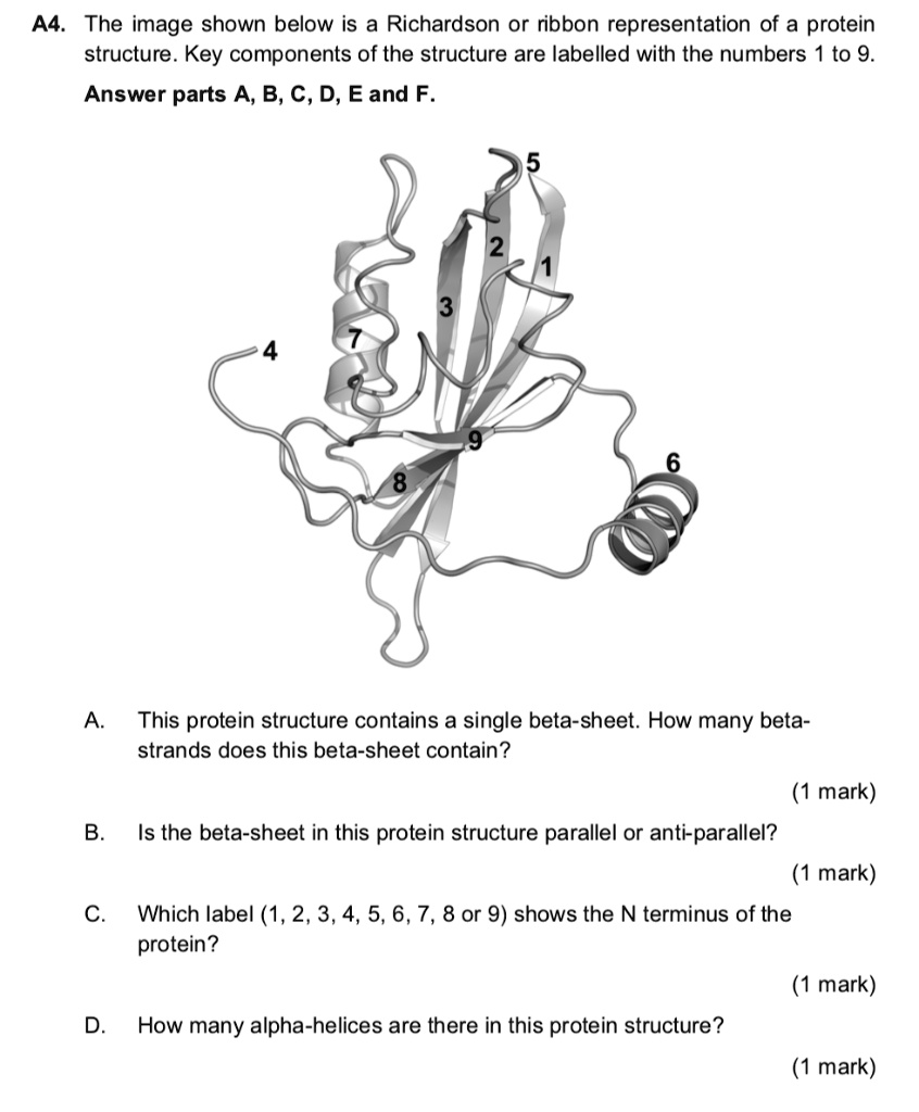 A4. The image shown below is a Richardson or ribbon representation of a ...