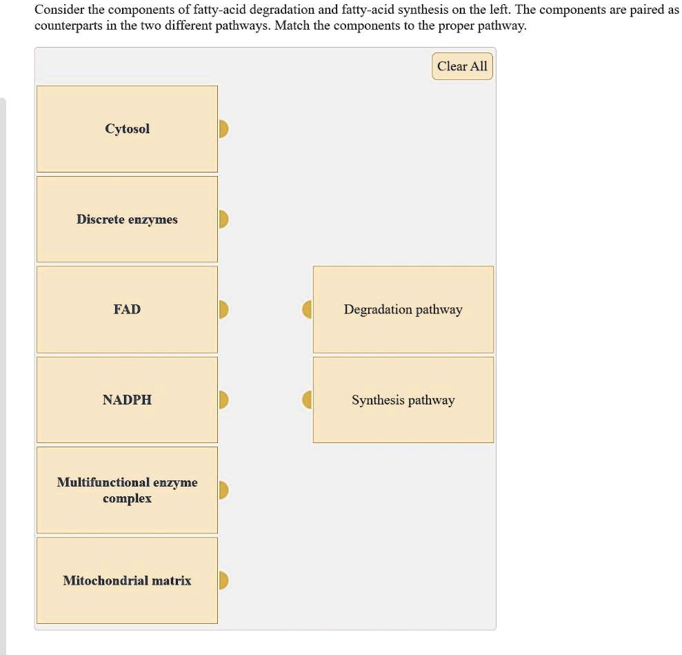 SOLVED Consider the components of fattyacid degradation and fatty