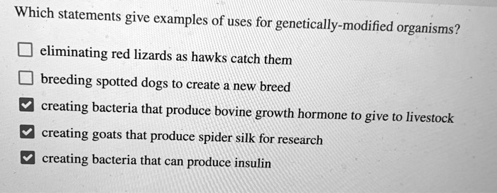 Which Statements Give Examples Of Uses For Genetically Modified Organisms: Complete Guide & Key Details