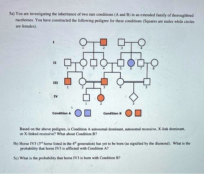 5a) You are investigating the inheritance of two rare conditions (A and ...
