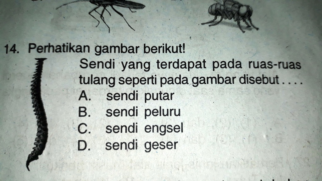 SOLVED: Apa Jawabannya Ya? Nomor 14 Yaa 14. Perhatikan Gambar Berikutl ...