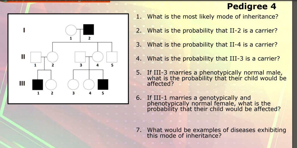 Pedigree 4
1. What is the most likely mode of inheritance?
2. What is the probability that II-2 is a carrier?
3. What is the probability that II-4 is a carrier?
4. What is the probability that III-3 is a carrier?
5. If III-3 marries a phenotypically normal male, what is the probability that their child would be affected?
6. If III-1 marries a genotypically and phenotypically normal female, what is the probability that their child would be affected?
7. What would be examples of diseases exhibiting this mode of inheritance?