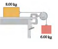 8.00 kg
6.00 kg
