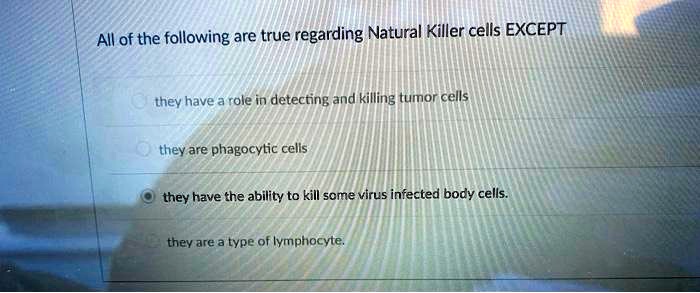 All of the following are true regarding Natural Killer cells EXCEPT
they have a role in detecting and killing tumor cells
they are phagocytic cells
they have the ability to kill some virus infected body cells.
they are a type of lymphocyte.