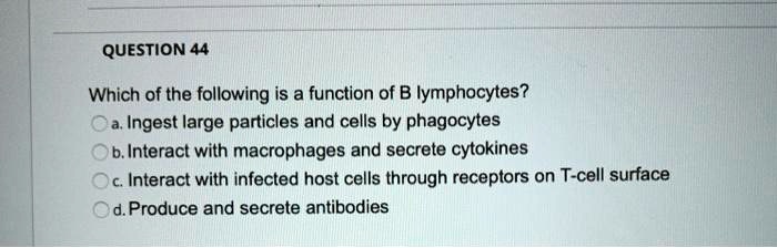 Which of the following is a function of B lymphocytes?
a. Ingest large particles and cells by phagocytes
b. Interact with macrophages and secrete cytokines
c. Interact with infected host cells through receptors on T-cell surface
d. Produce and secrete antibodies