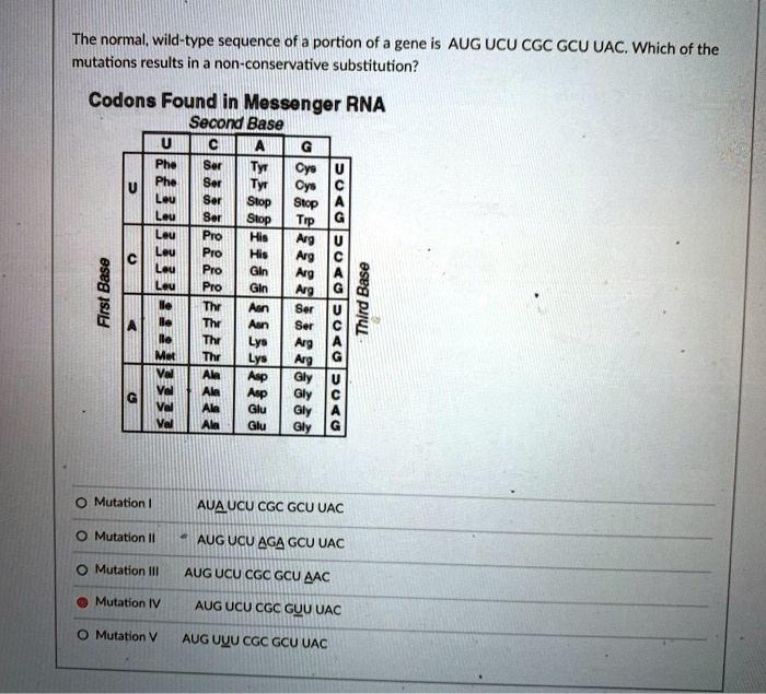 SOLVED: The normal, wild-type sequence of portion of gene is AUG UCU ...