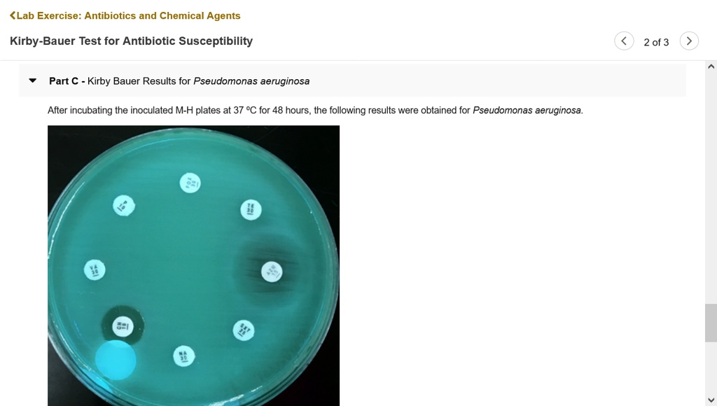 SOLVED: <Lab Exercise: Antibiotics and Chemical Agents Kirby-Bauer Test for  Antibiotic Susceptibility 2 of 3 Pant C Kirby Bauer Results for Pseudomonas  aeruginosa After incubating the inoculated M-H plates at 37 %C