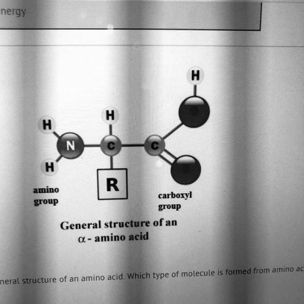 SOLVED 'The diagram below shows the qeneral structure of an amino acid