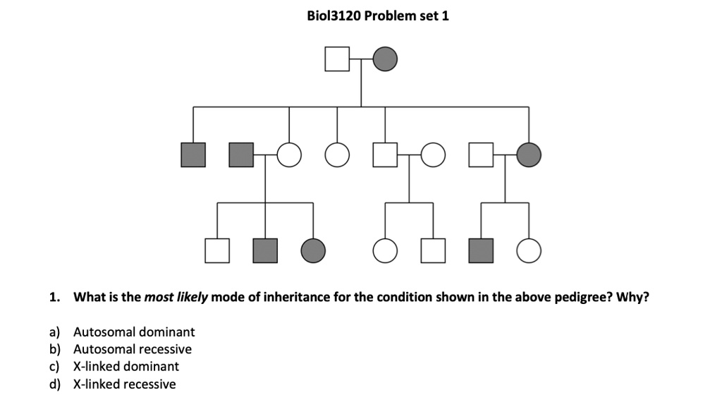 Solvedbiol3120 Problem Set 1 What Is The Most Likely Mode Of Inheritance For The Condition 0729