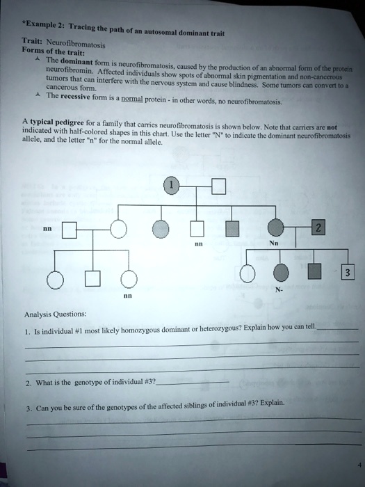 examples of autosomal dominant traits