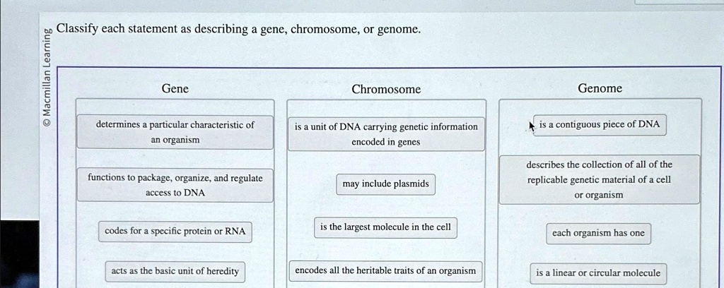 SOLVED: a Classify each statement as describing a gene, chromosome, or ...