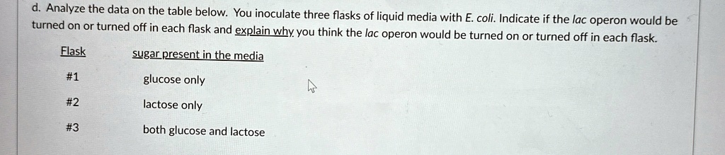 d. Analyze the data on the table below. You inoculate three flasks of liquid media with E. coli. Indicate if the lac operon would be
turned on or turned off in each flask and explain why you think the lac operon would be turned on or turned off in each flask.
Flask
sugar present in the media
#1
glucose only
#2
lactose only
#3
both glucose and lactose