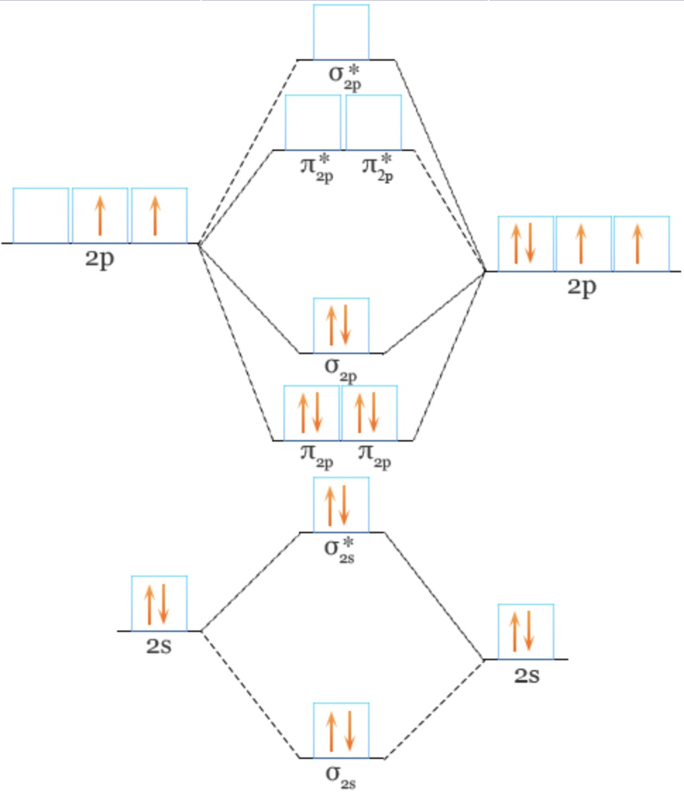 Select all of the statements that accurately describe the information