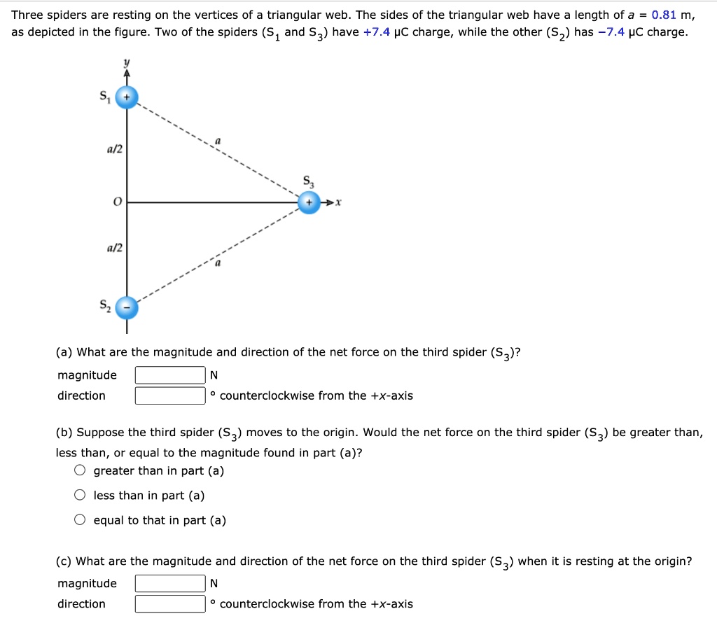 SOLVED:Three spiders are resting on the vertices of a triangular web ...