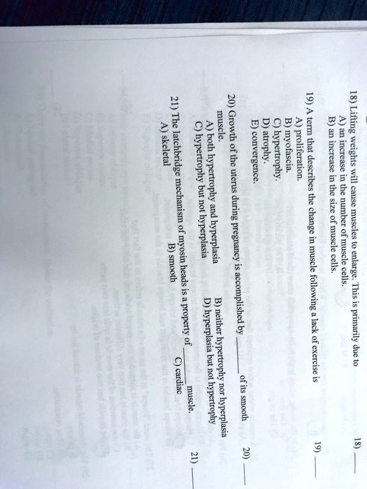 Solved Skeletal Muscle E Convergence D Atrophy C Hypertrophy B Myofascia C Hypertrophy