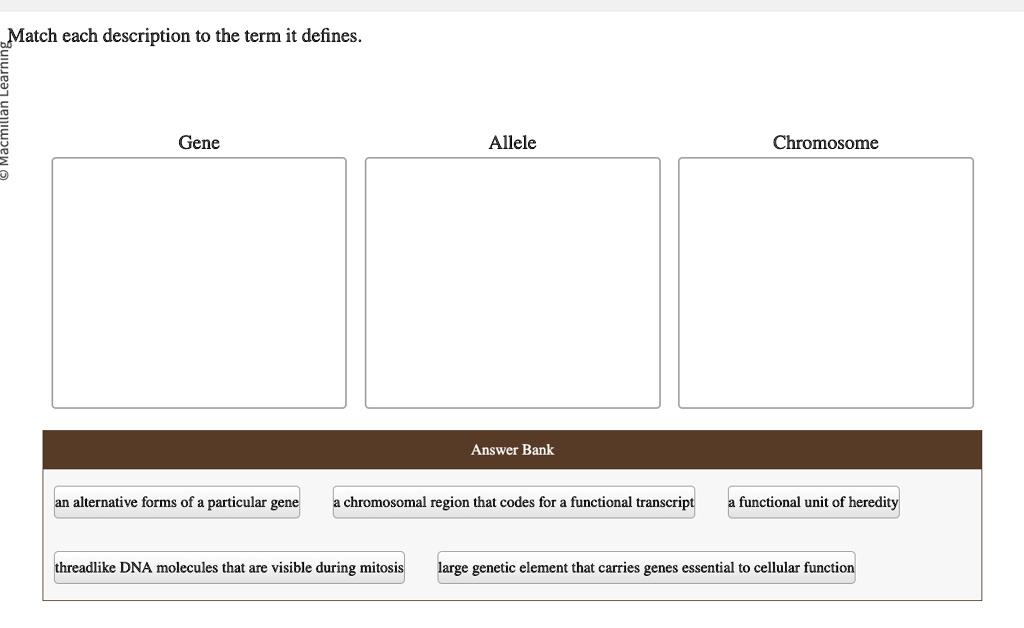 macmillan learning match each description to the term it defines gene allele chromosome answer bank an alternative forms of a particular gene a chromosomal region that codes for a functional 60488