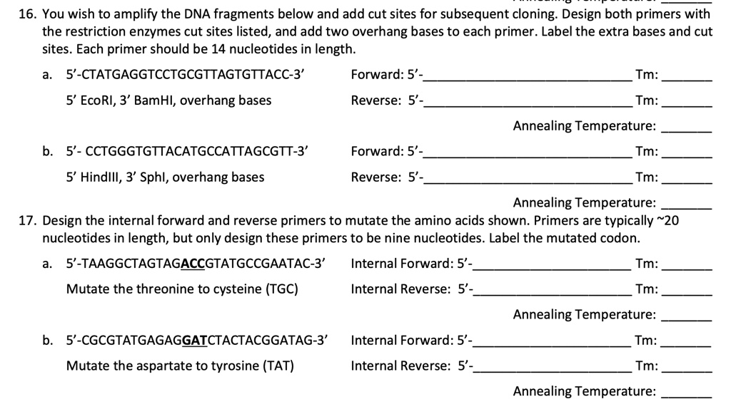 16. You wish to amplify the DNA fragments below and add cut sites for