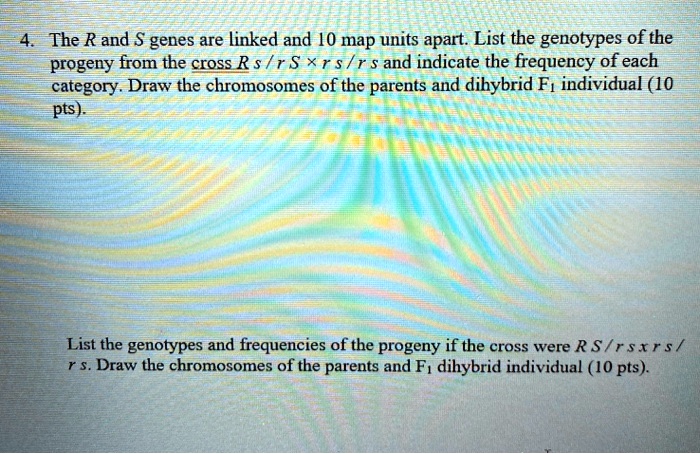 4. The R and S genes are linked and 10 map units apart. List the genotypes of the progeny from the cross R s / r S × r s / r s and indicate the frequency of each category. Draw the chromosomes of the parents and dihybrid F1 individual (10 pts).

List the genotypes and frequencies of the progeny if the cross were R S / r s × r s / r s. Draw the chromosomes of the parents and F1 dihybrid individual (10 pts).