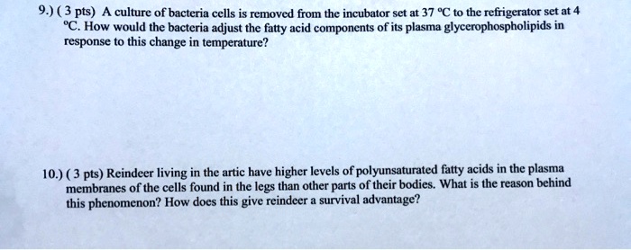 9 3 pts a culture of bacteria cells is removed from the incubator set ...